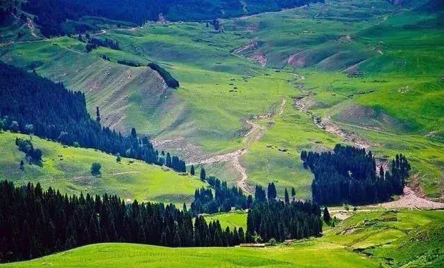 内蒙古通辽景点排名第一的是哪里,内蒙古通辽市旅游景点都有哪些