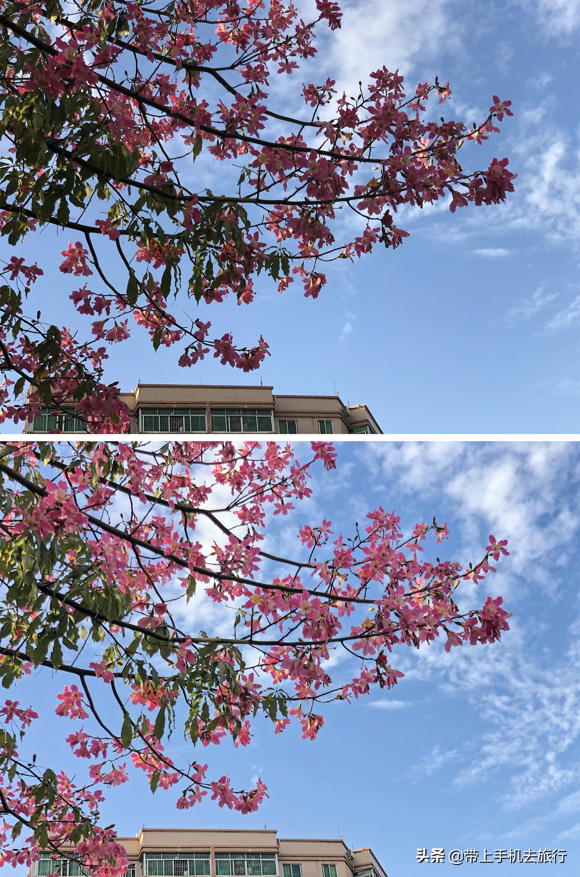 选择大于努力图片动画,选择大于努力坚持创造奇迹的图片