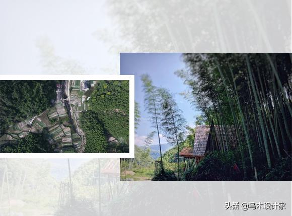 南通树屋酒店,森林树屋酒店