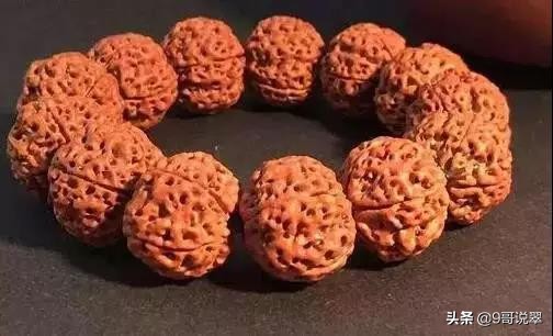 高颜值大金刚菩提,价值百万的金刚手串