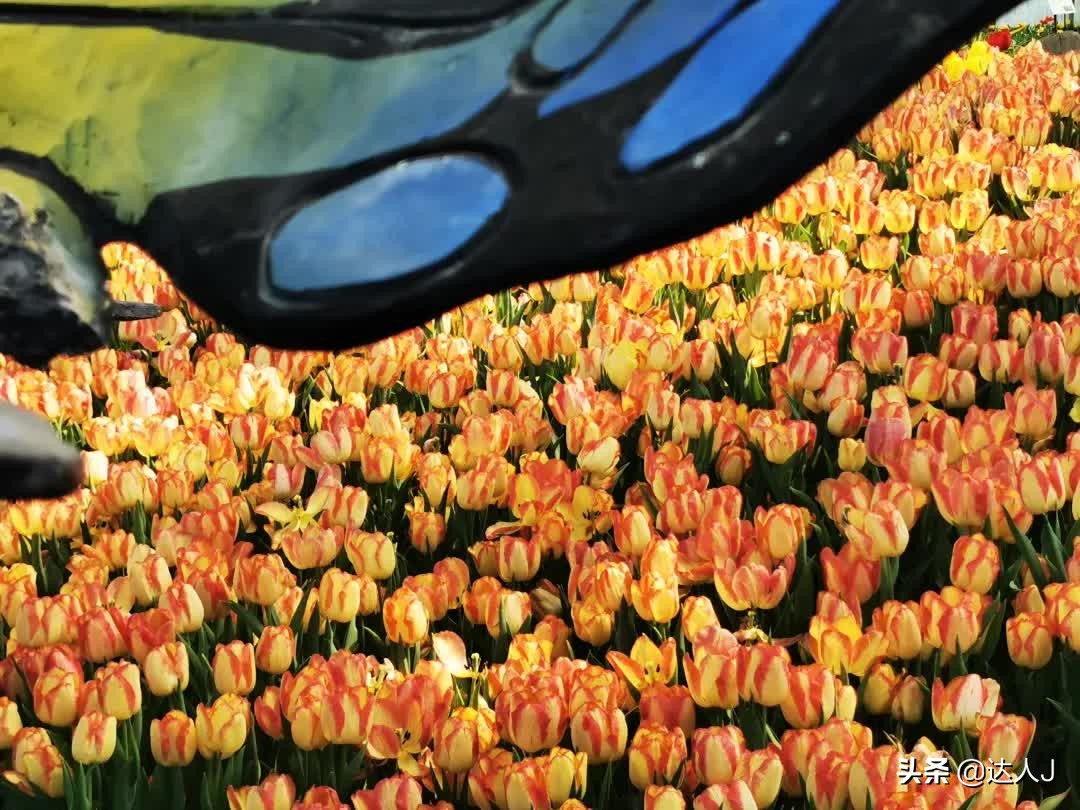 海岛上的梦幻乐园,梦幻海岛主题公园