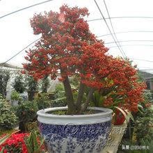 创业小项目获得资源,创业项目可以利用的资源