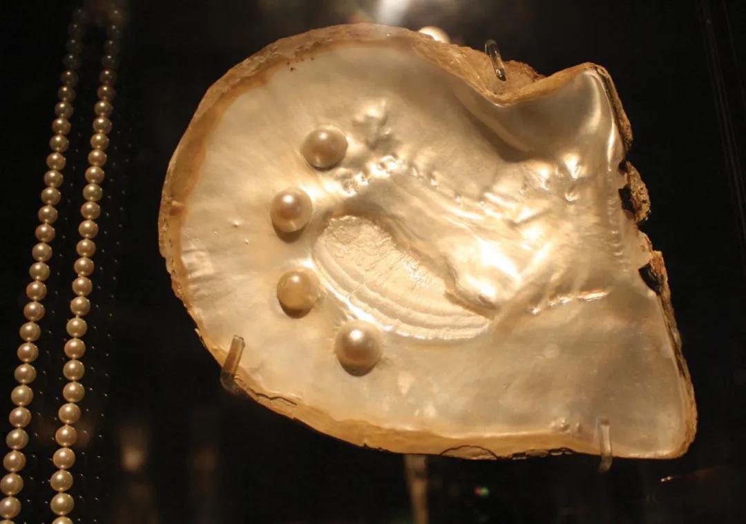 RR·TRENDS|这件人人都有的珠宝，原来有这么多隐藏知识