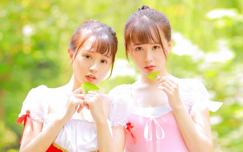 一对双胞胎兄弟每天喝豆浆,双胞胎姐妹喝豆浆和喝牛奶的区别