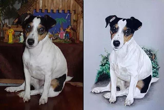 彩铅不会涂色怎么办,彩铅绘画干货