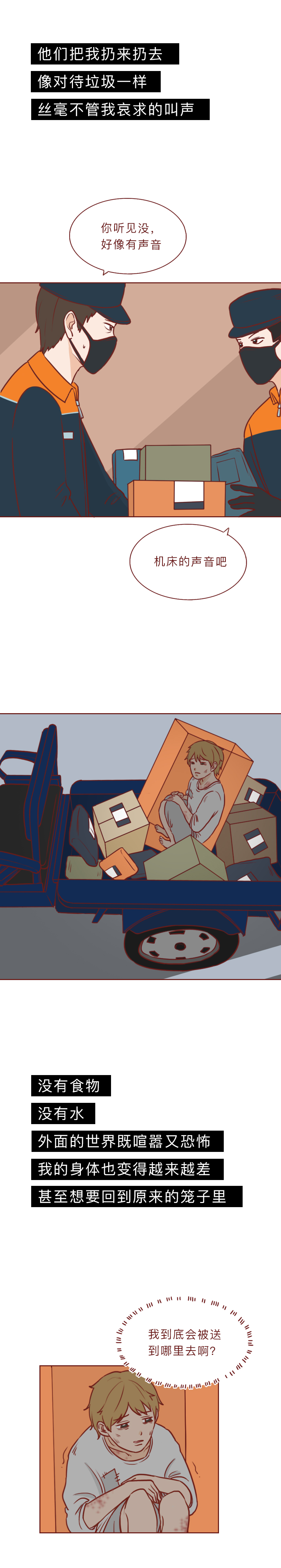 最低9.9，他们被装进盲盒当商品贩卖，漫画揭秘动物盲盒