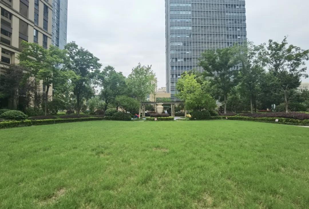 方正御星最好的小区,方正御星小区值得买吗