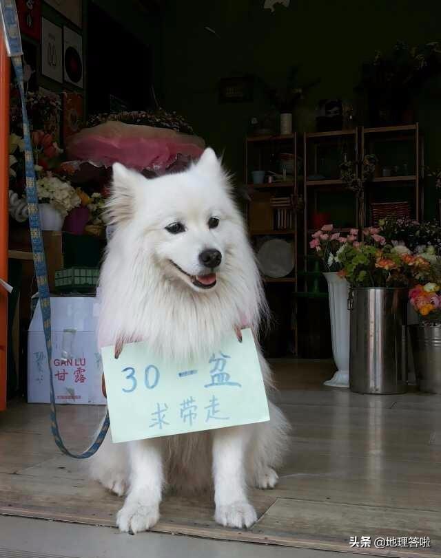 中国有地理标志的土特产是什么呢,各省市特产及特色菜