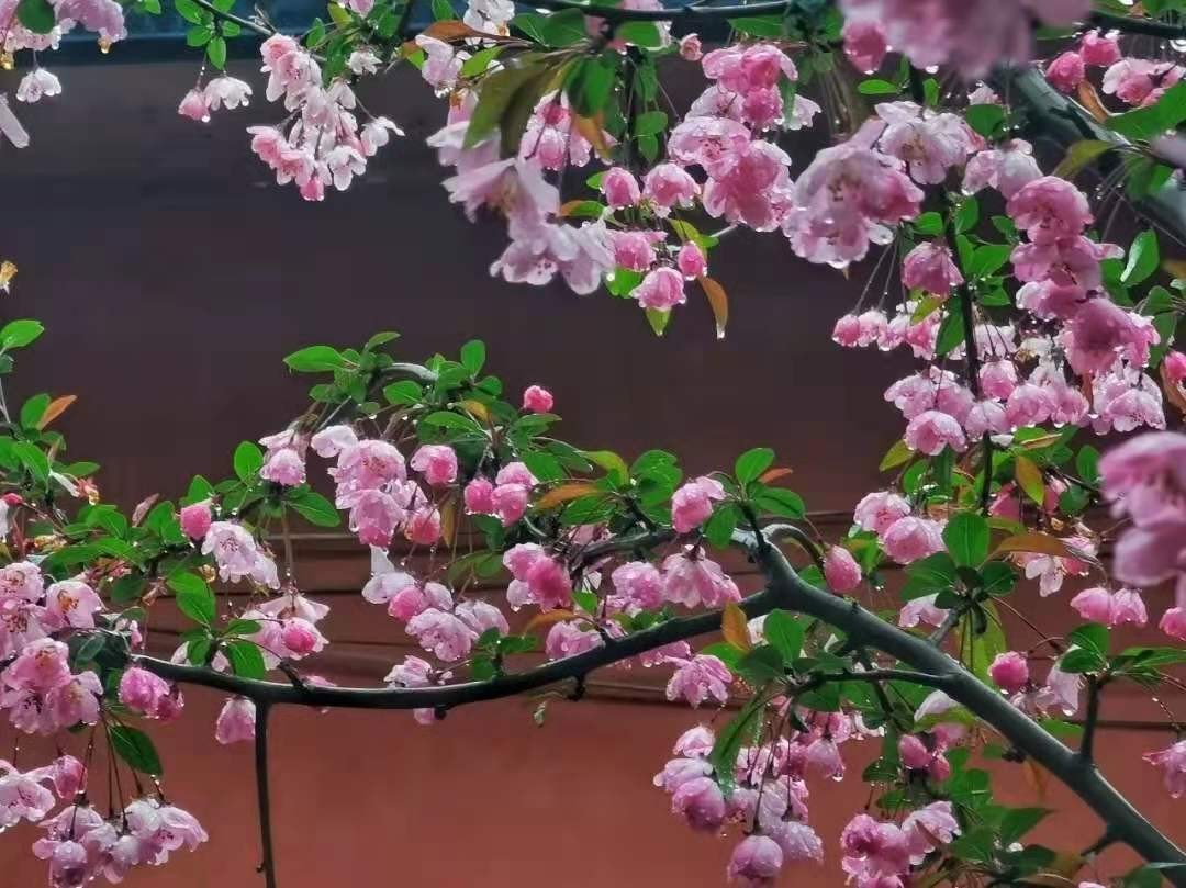 被人民日报点名的5所高校,湖北多名考生公开点名