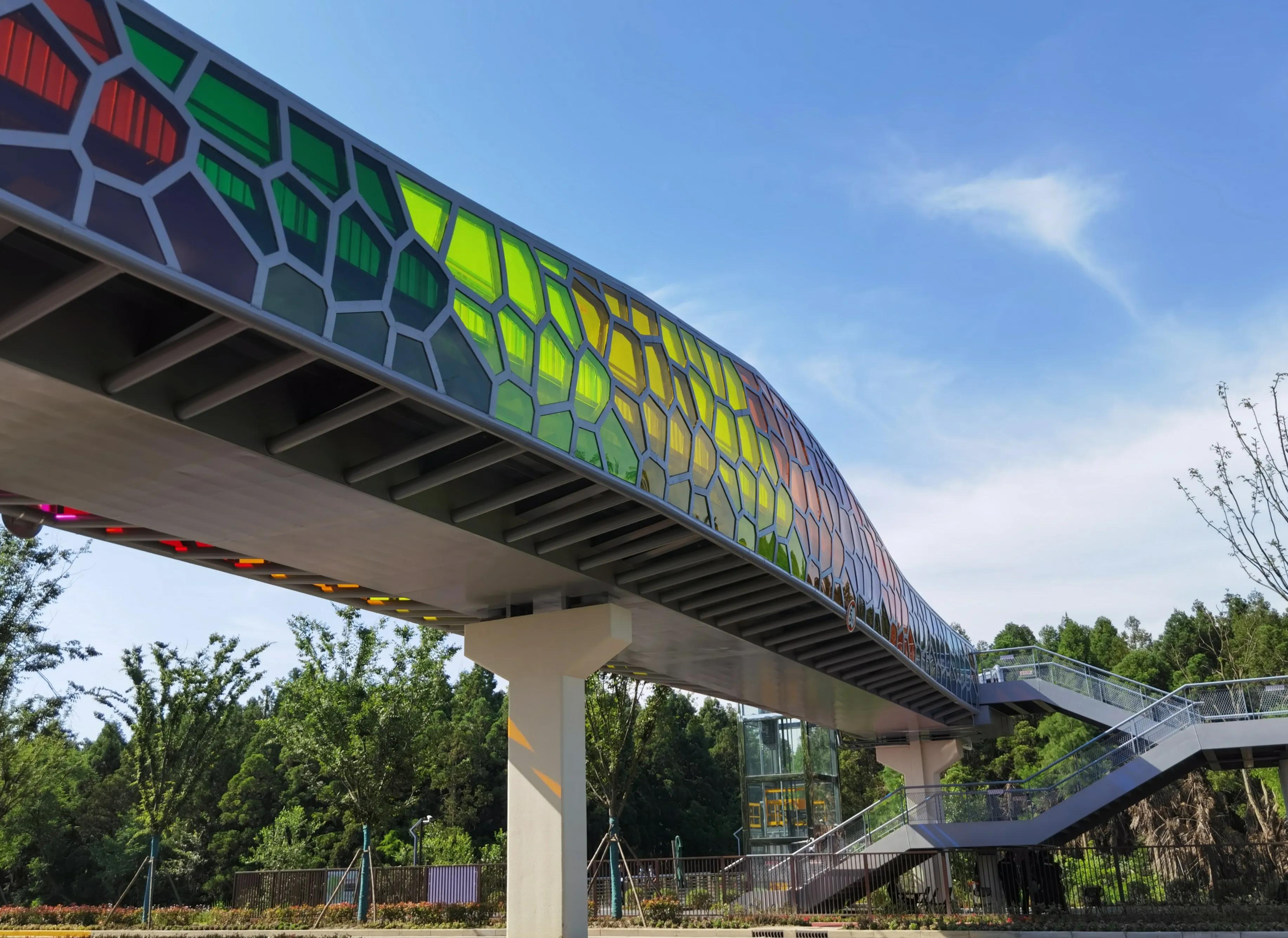 关于崇明花博会,崇明花博会全程花景