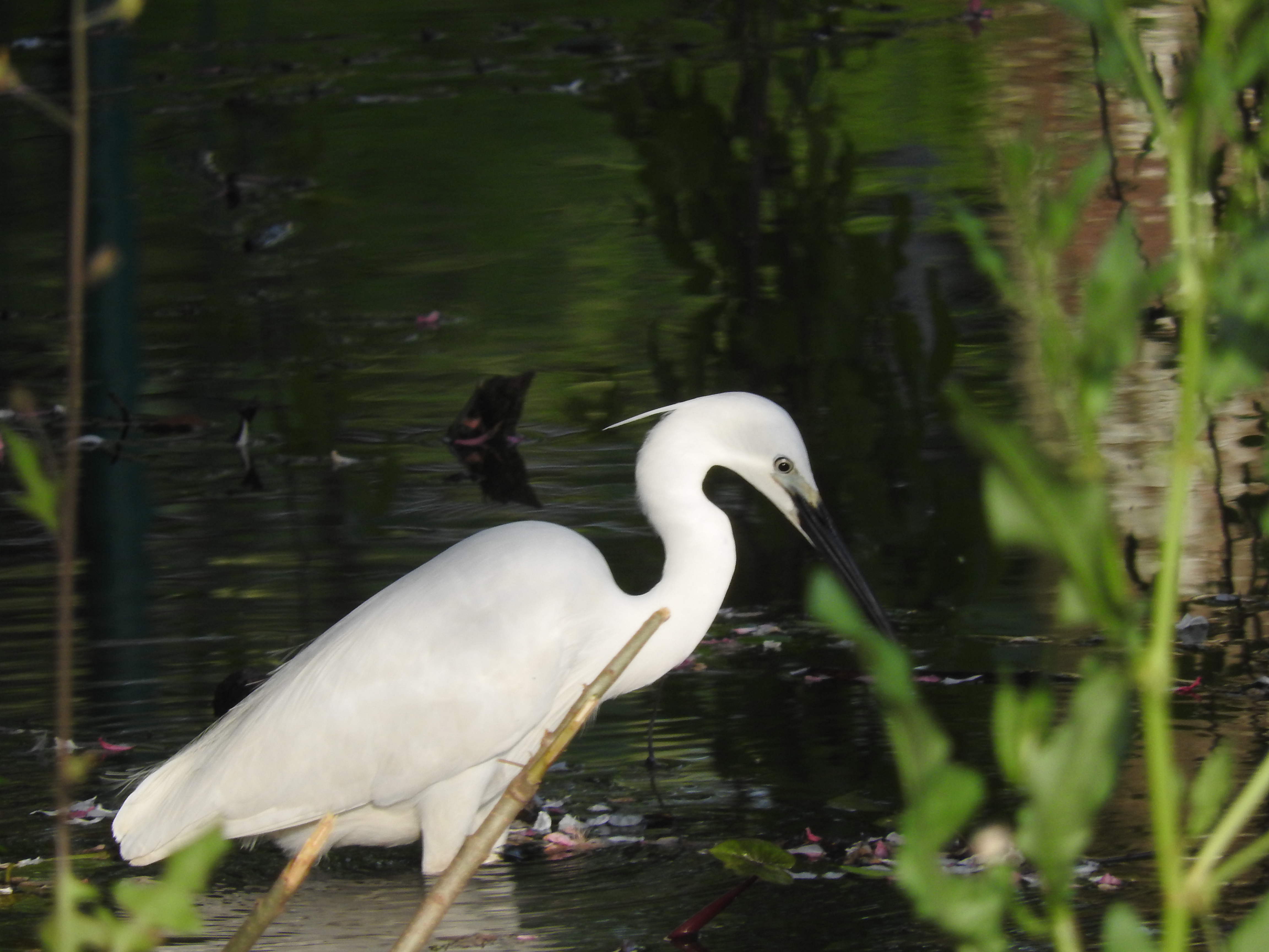 浣犵湡鐨勮璇嗘捣楦ュ悧,浣犵湡鐨勮璇嗚崰鑿滃悧