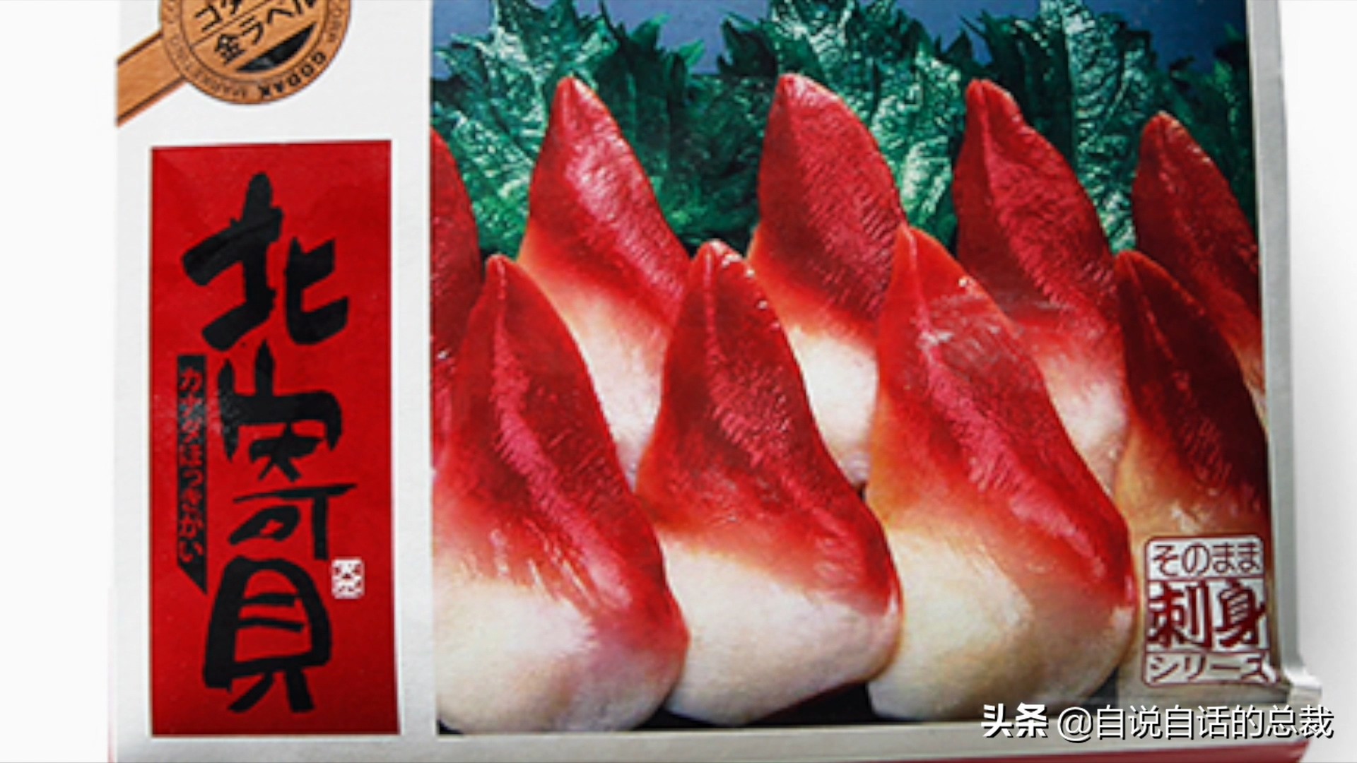 蚬蚌蛏的区别是什么,蚶子蛤蜊蚬子区别