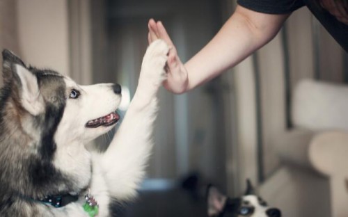 加盟店排行榜前十名免费加盟方案,加盟店排行榜免费加盟