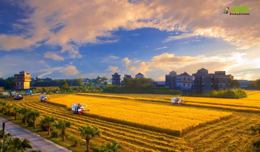 你不知道的台山故事，由旅游局局长亲述，带你看看不一样的台山