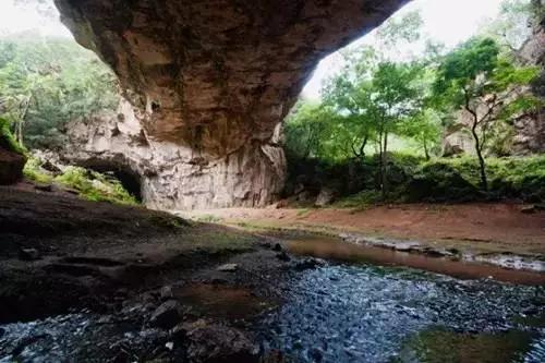 昆明周边适合露营的森林,昆明附近露营风景好