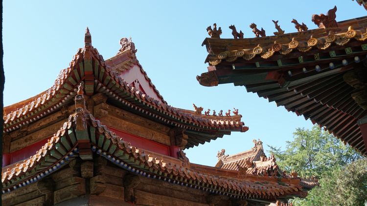 曲阜三孔知识,曲阜三孔文化信息交流