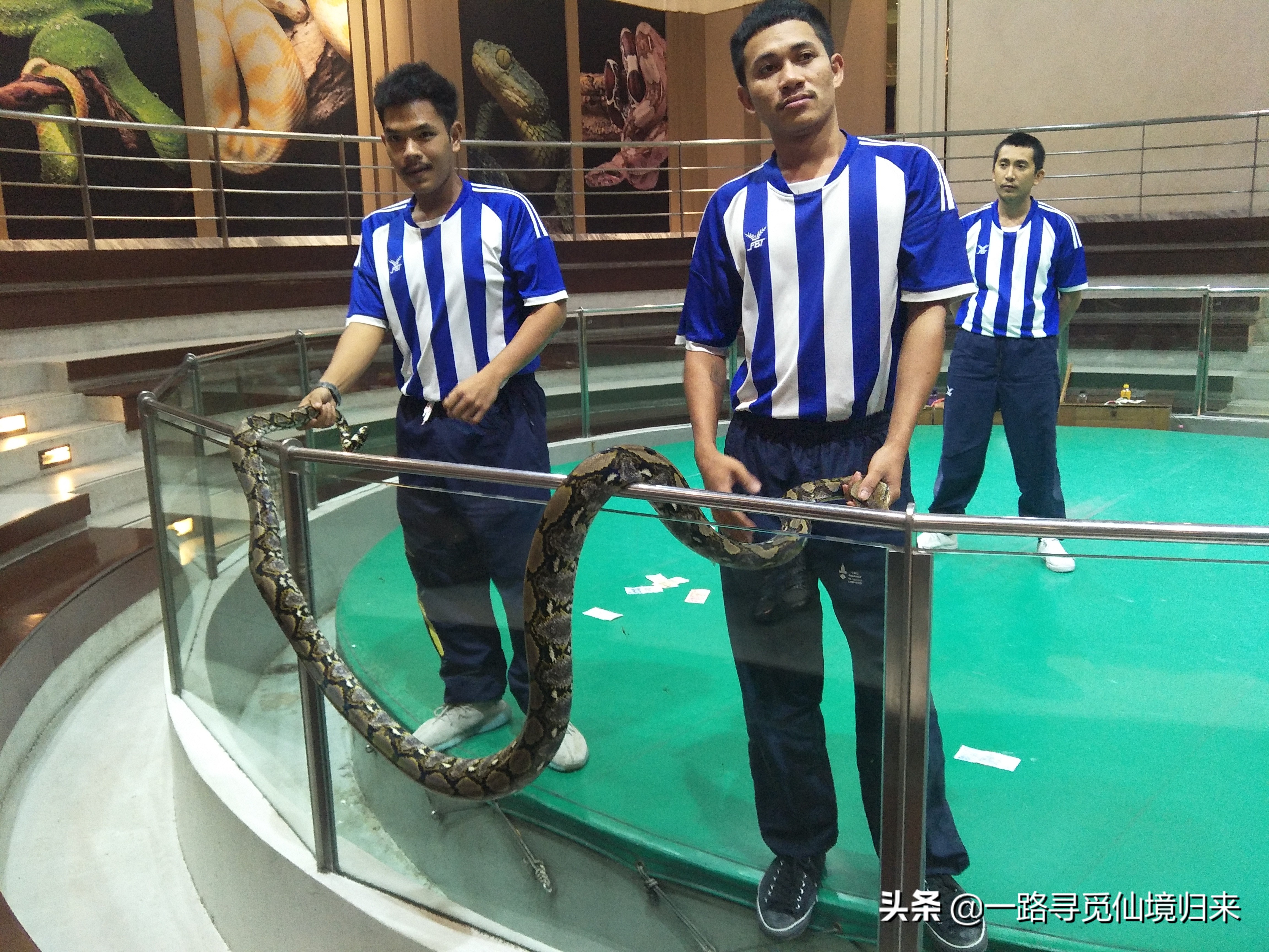 刷哇滴卡，任性！用完泰铢，只剩下钢镚了，回家