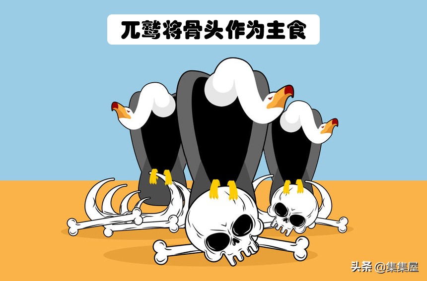 生物学的惊天大秘密,你不可不知的五十个生物学知识