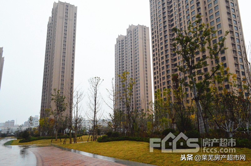 世纪城四期交房,世纪城四期最新消息