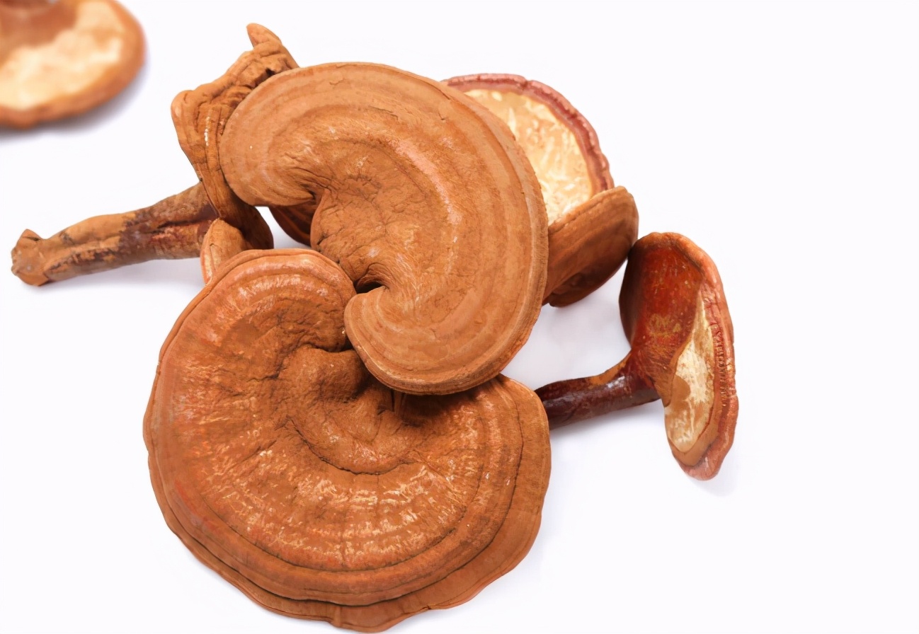 在线医疗成新风口,中国生态灵芝借风蓄力能否实现盈利倍数增长?