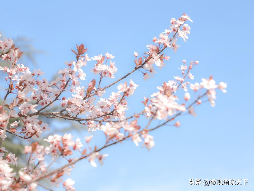 信阳师范学院：回眸但觉烟色浅，不知春意入师院