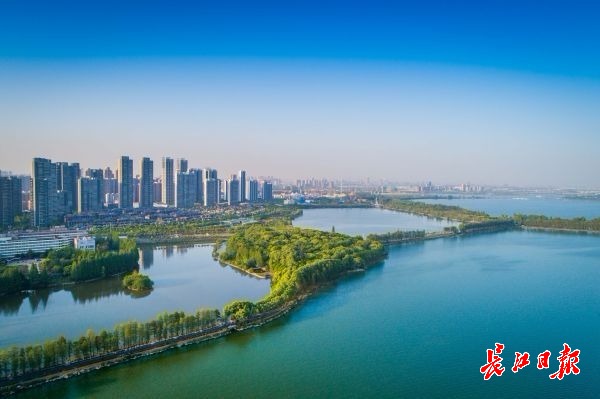 一家三代志愿者日记,一家三代28个志愿者