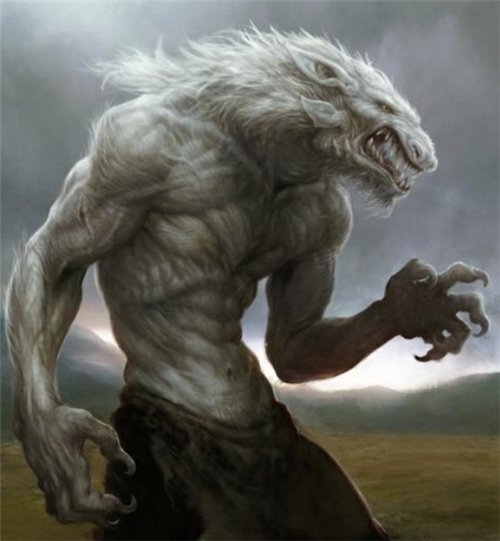 狼人被击中的真实事件,史上最真实狼人事件