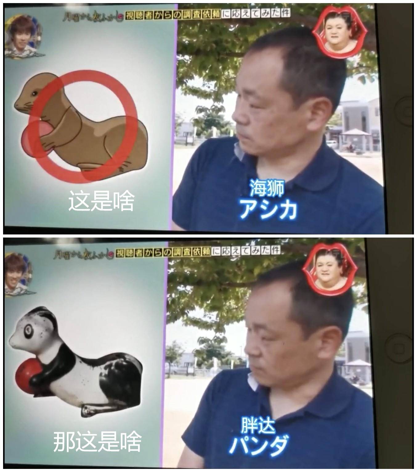 桥本环奈坂口健太郎,桥本环奈工具