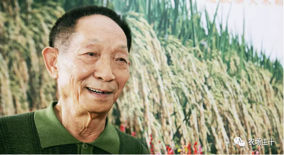 马云耕地亩产多少,马云谈现代农业