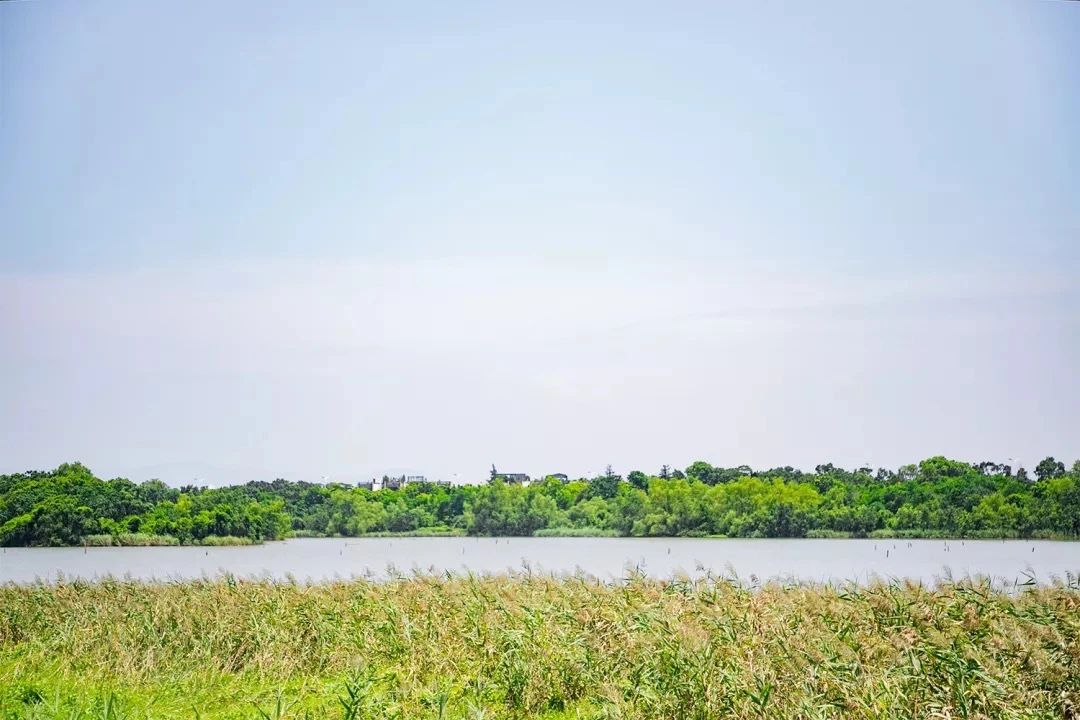 最美湖泊小众风景,最美湖泊西湖