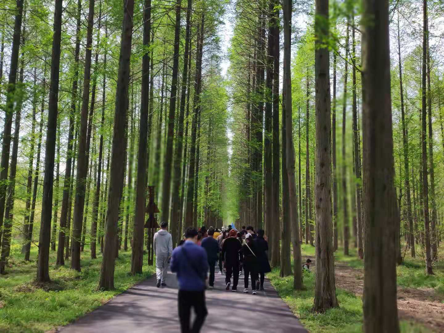 烟花三月矿泉水能喝吗,烟花三月喝最好的酒