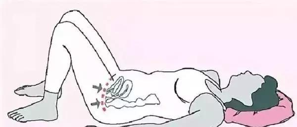 母猫产后多久身材可以恢复,产后身材多久能恢复到孕前