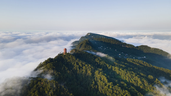 重庆这次疫情什么时候能恢复正常,重庆疫情要闻