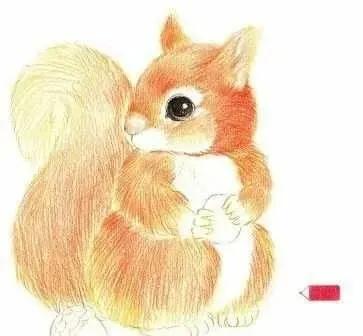 彩铅可爱的小松鼠,彩铅画可爱动物飞鼠