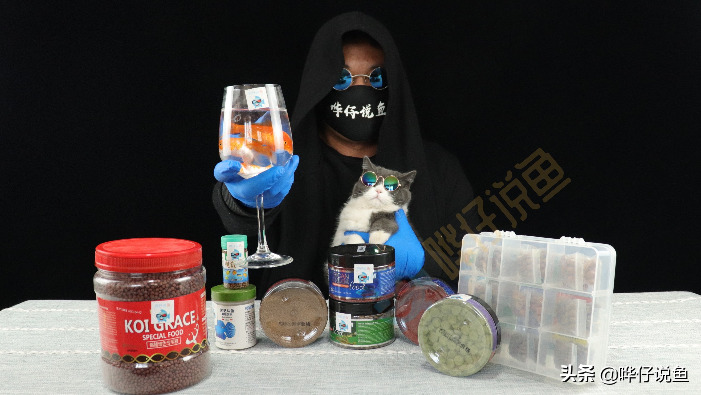 观赏鱼鱼料怎么选购好的,怎么选择观赏鱼粮