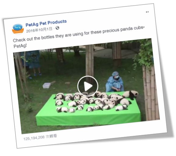 谁在证明PetAg美国倍酷奶粉的强大口碑？来自全球用户的真实反馈