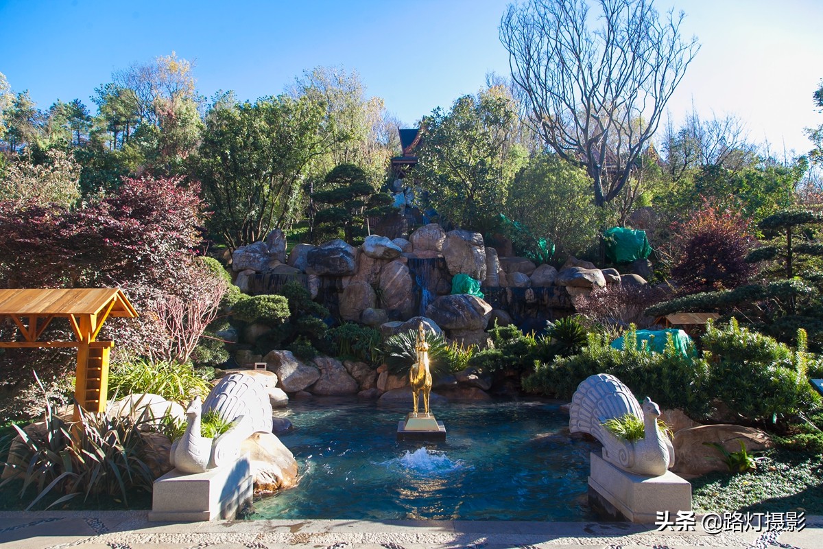 中国最适合养老的“特大城市”,气候宜人环境美,一年四季都宜居