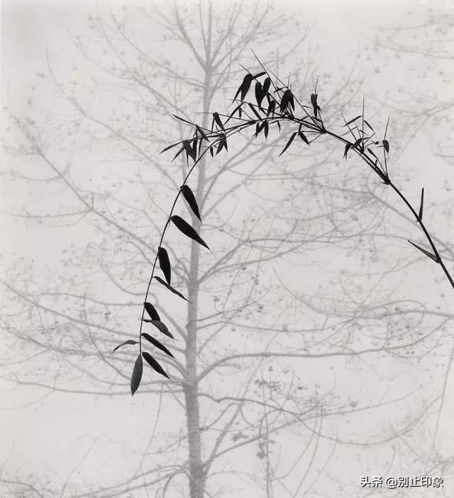 水墨意境摄影艺术高清大图,中国水墨风景摄影