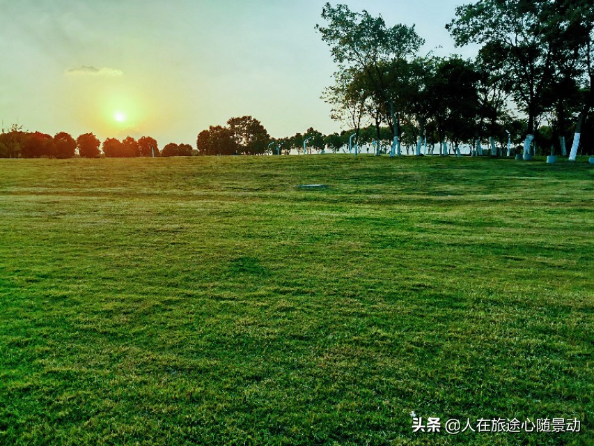 南京面积最大的公园，美不胜收却被游客忽略