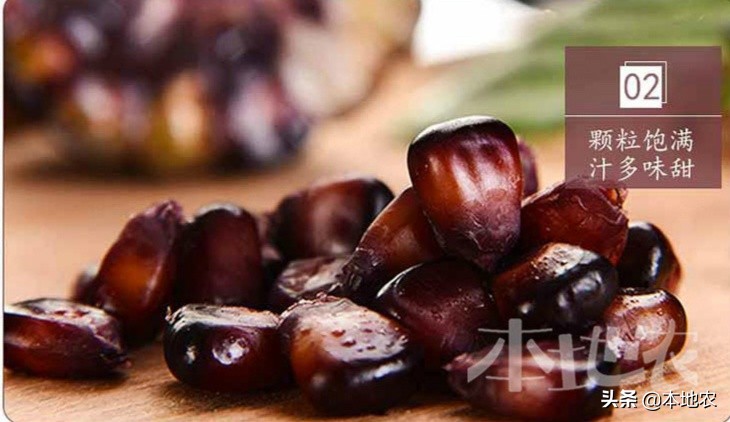 健康营养的黑糯玉米,黑糯玉米网红