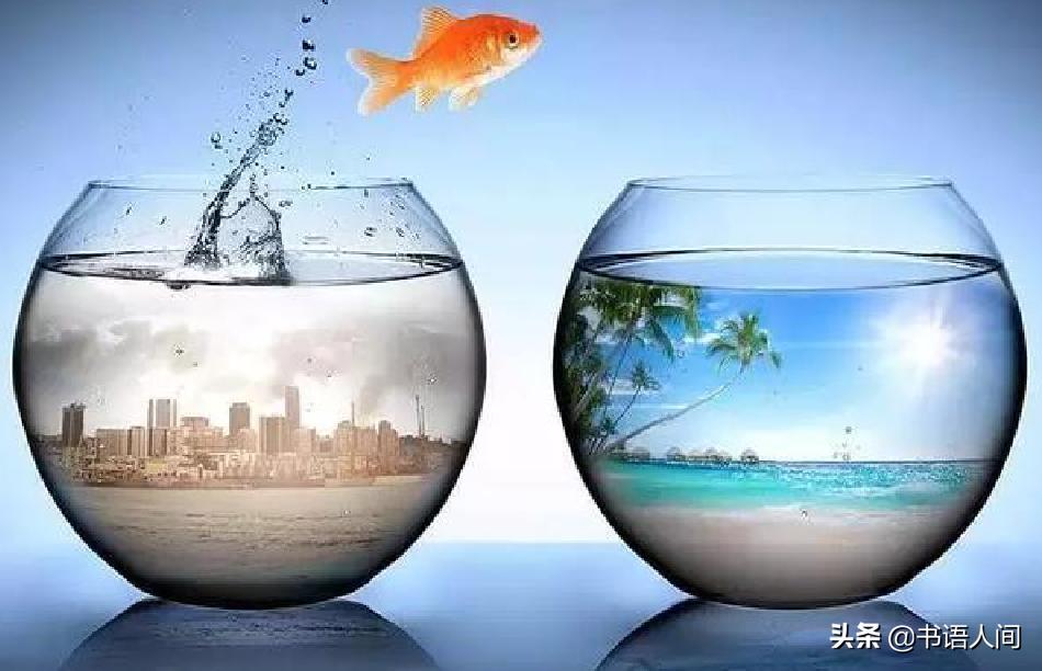 如何走出舒适区成功的例子,走出舒适区突破自我设限