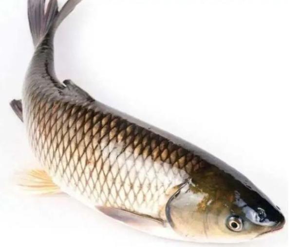 全国农产品地理标志目录湖南篇,湖南省株洲市农产品地理标志名单