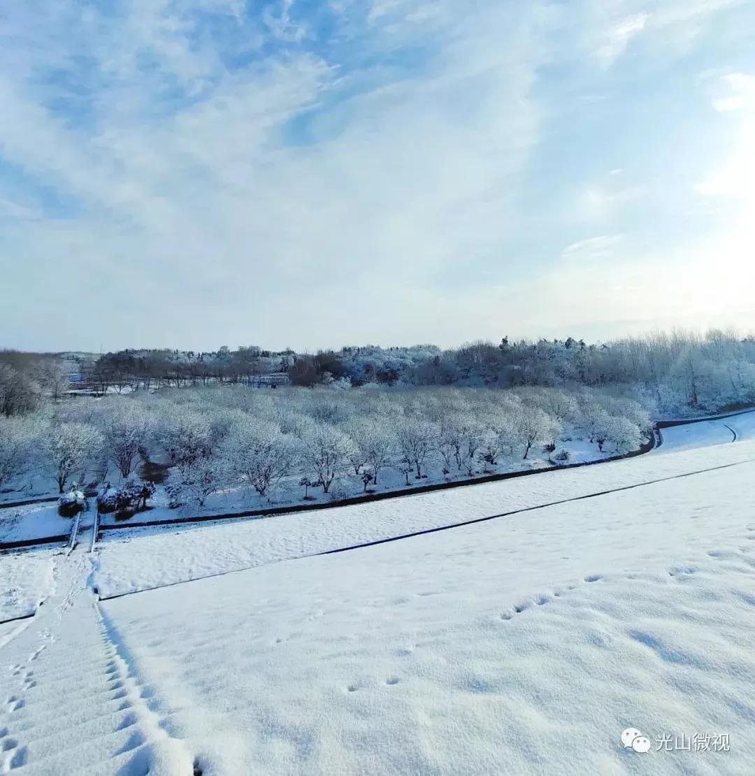 替你“打卡”！疫情中的光山雪景