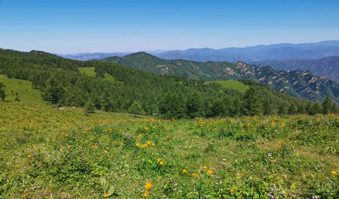 徒步穿越北驼梁完整版,穿越花海古道游记