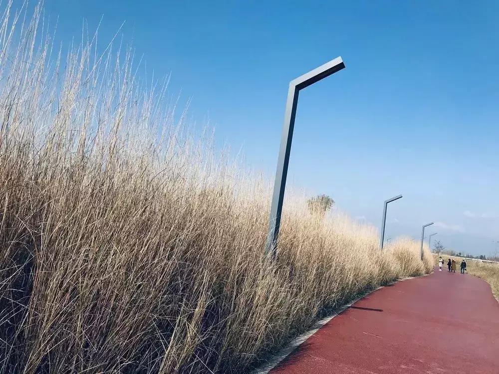 汉台半日游,汉台区一日游