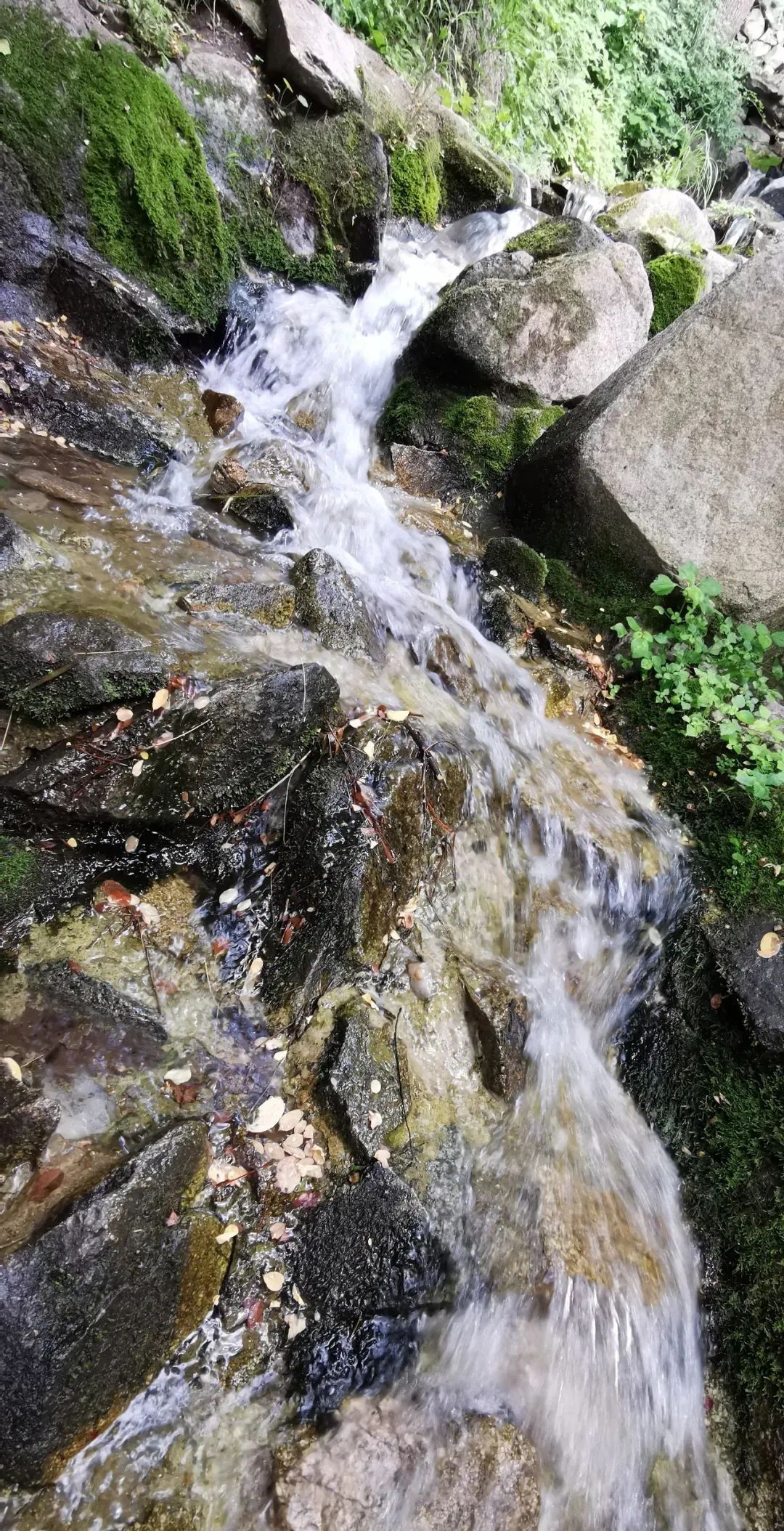 九如山什么季节去最好,九如山赏枫一日游