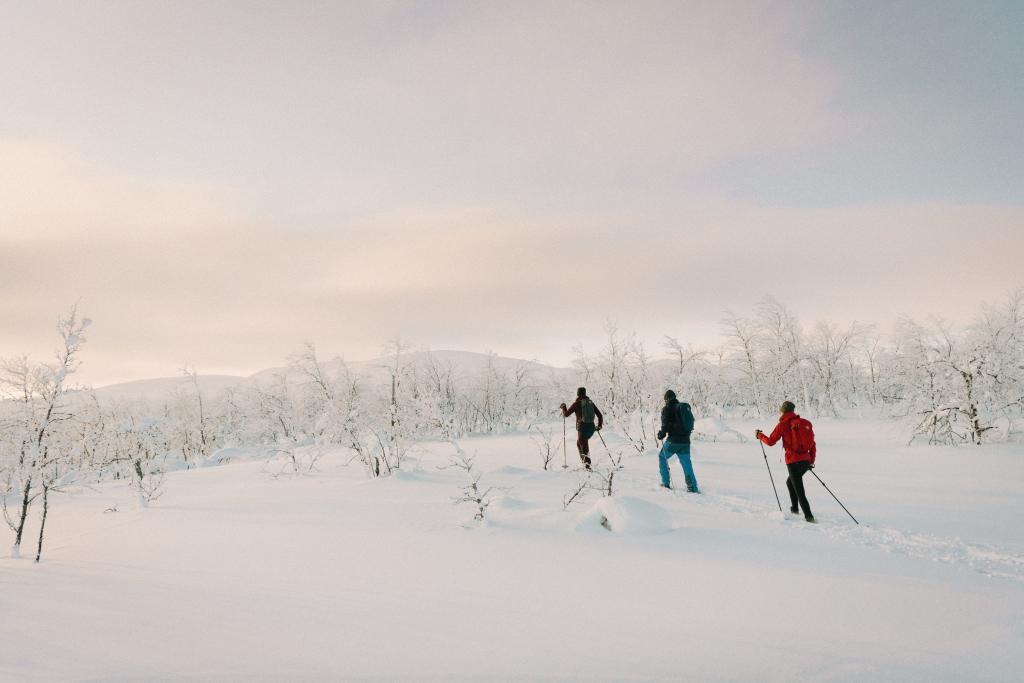 北极狐联名羽绒服,北极狐长款羽绒服