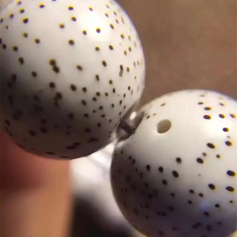 星月菩提的选购、盘玩、保养入门基础篇