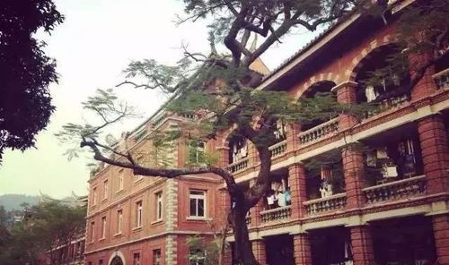 厦门鼓浪屿旅游攻略景点大全,厦门旅游主要景点地图高清版