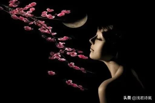 最好的感情找一个无话不说的知己,做最好的知己胜过短暂的爱情